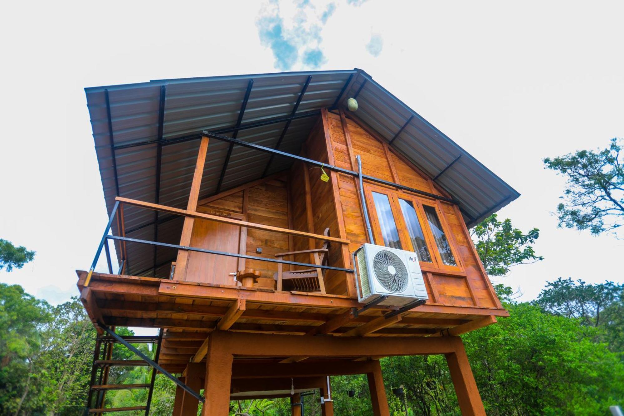 Lion Wood Treehouse Villa Talkote Exteriör bild